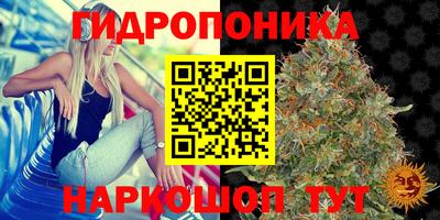 гидра Тулун