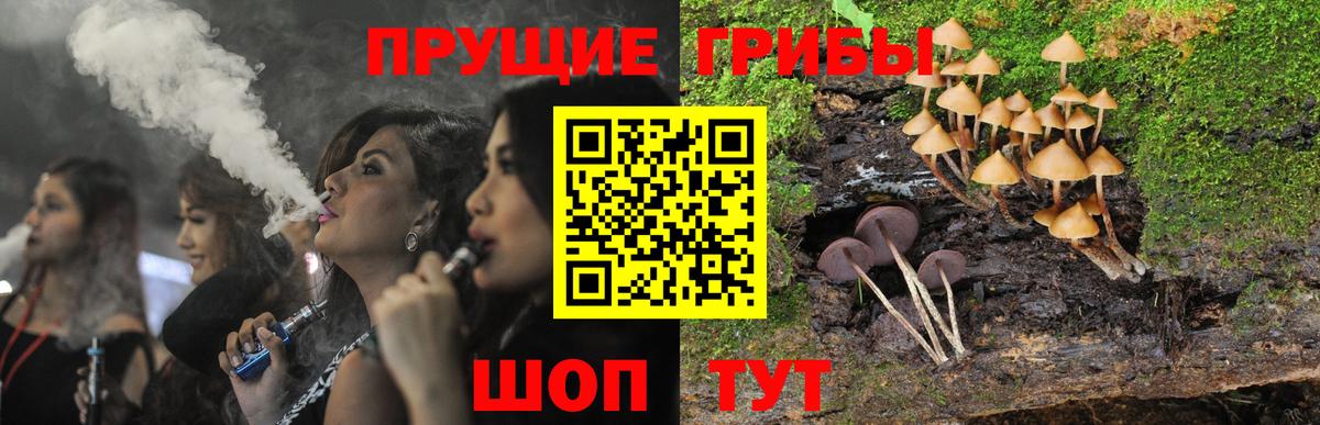 Галлюциногенные грибы прущие грибы  Вход с VPN  Норильск 