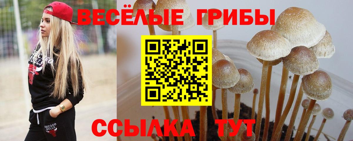 Псилоцибиновые грибы ЛСД Норильск